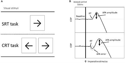 Modulation of EMG-EMG Coherence in a Choice Stepping Task